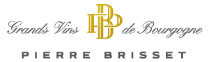 Pierre Brisset