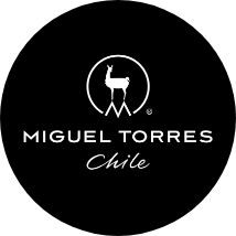 Miguel Torres